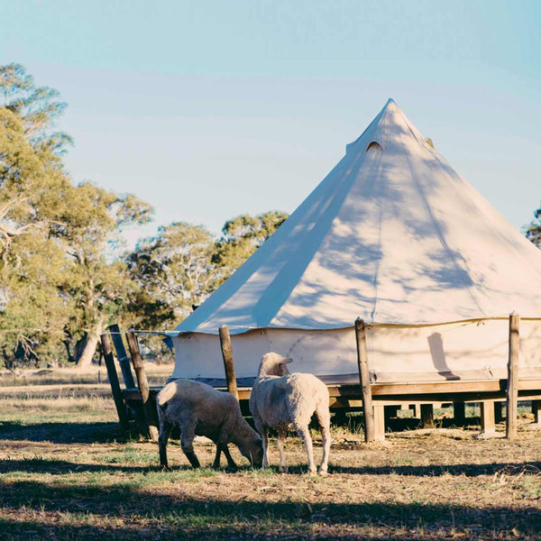 Queen Bell Tent | Gore (single night stay)