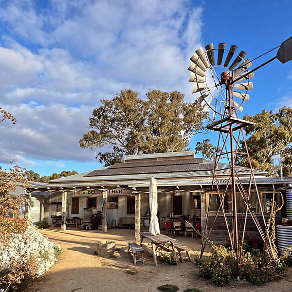 Build our Biodiversity - Buys plants and fencing