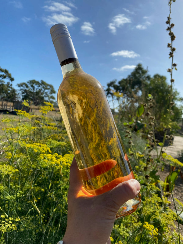 Rosé cleanskin dozen - Your party wine for Summer, sorted!