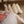 Queen Bell Tent | McDonald (single night stay)