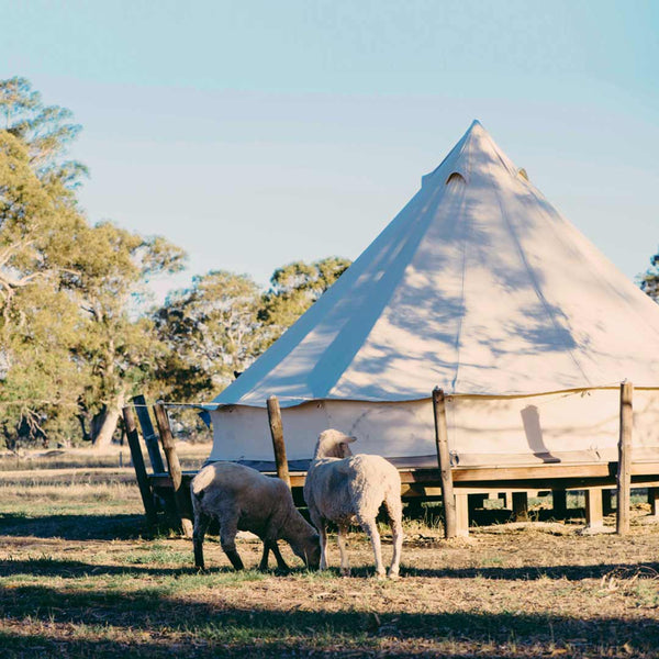 Twin Single Bell Tent | McDonald (single night stay)