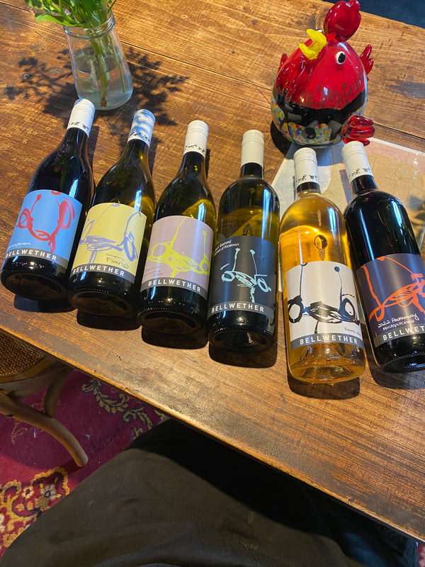 Ant Six Pack - textured whites/Rosato/fragrant reds