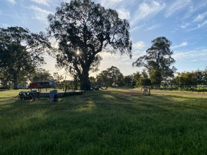 Powered Campsite | McElroy