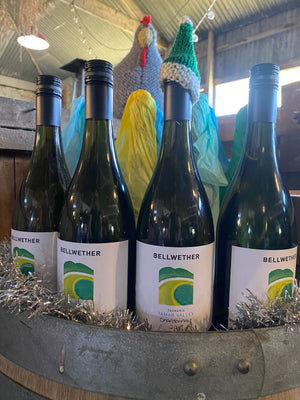 Premium 2019 six pack - Tamar Valley Chardonnay and Coonawarra Cabernet