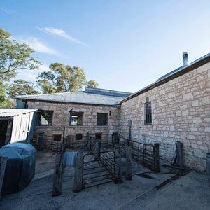 Bellwether- Wines-cellar-door-camping-grounds 
