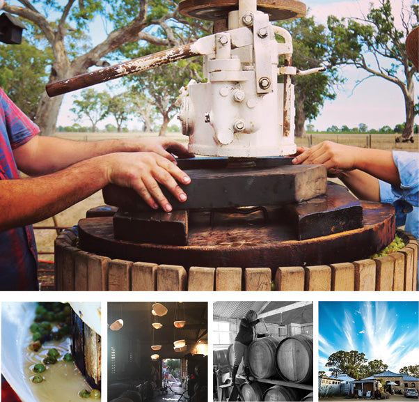 Bellwether Wines