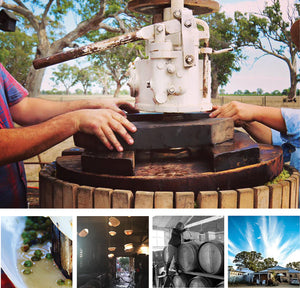 Vintage experience at Bellwether Boutique Winery 2026